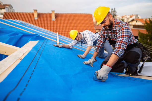 Best Residential Roof Replacement  in Milan, MO